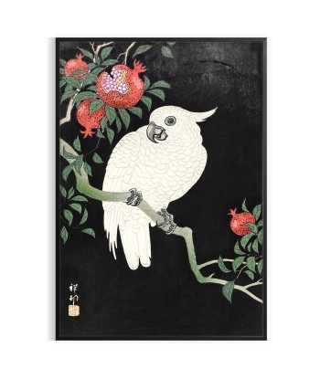 Affiche Japonaise Motifoiseau Vintage des créatures d'habitude