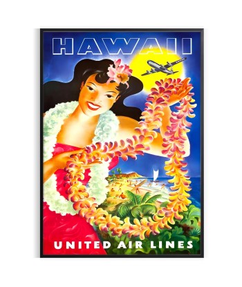 Affiche Voyage Vintage Hawaï prix pour 