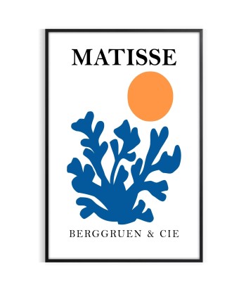 Matisse Papier Découpés Art 1 50% de réduction en Octobre 2024