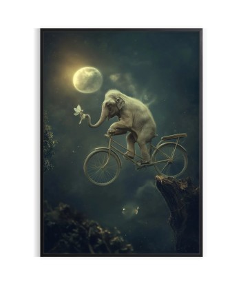 Vélo Éléphant Animal Poster 2024