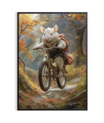 Affiche Animale Souris Vélo Comment ça marche