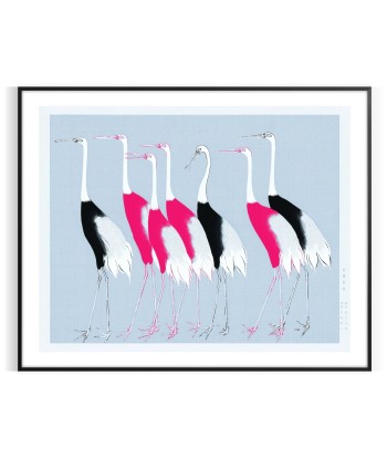 Oiseau 3 Animal Affiche offre 