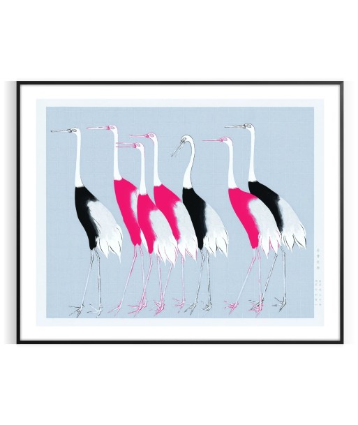 Oiseau 3 Animal Affiche offre 