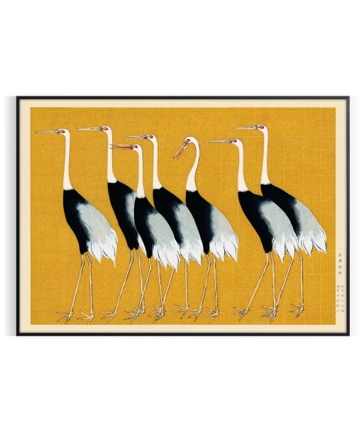 Affiche Faunes Oiseaux Economisez 