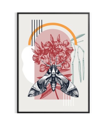 Affiche Animal Papillon Pour