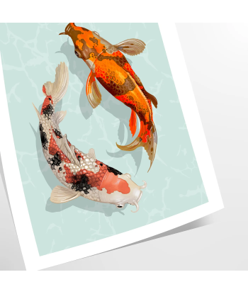 Poisson Animal Poster Livraison rapide