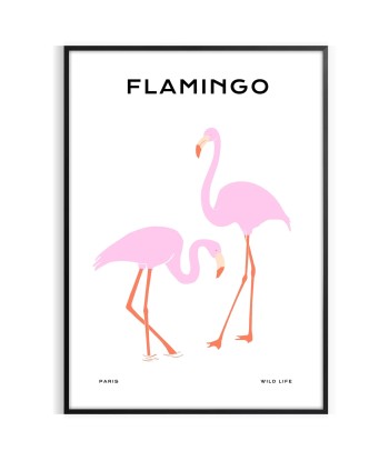 Flamant Rose Poster d'Europe débarque