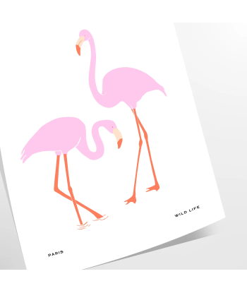 Flamant Rose Poster d'Europe débarque