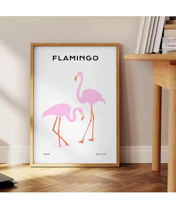 Flamant Rose Poster d'Europe débarque