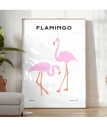 Flamant Rose Poster d'Europe débarque