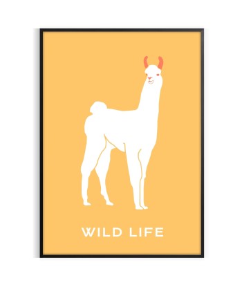 Lama Animal Poster Toutes les collections ici