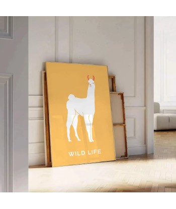 Lama Animal Poster Toutes les collections ici