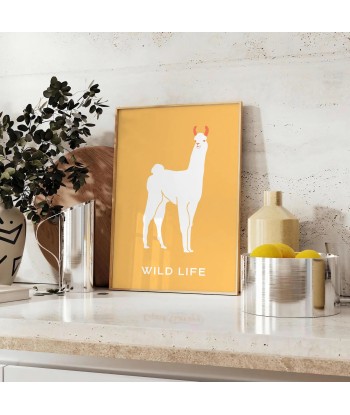 Lama Animal Poster Toutes les collections ici