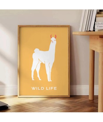 Lama Animal Poster Toutes les collections ici