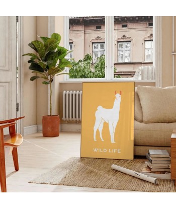 Lama Animal Poster Toutes les collections ici