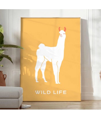 Lama Animal Poster Toutes les collections ici