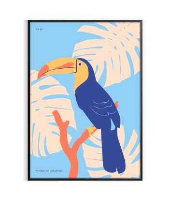 Toucan Animal Poster pas cher chine