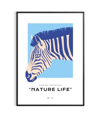 Animal Zèbre Affiche les muscles