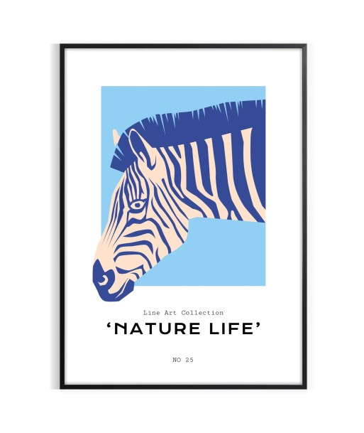 Animal Zèbre Affiche les muscles