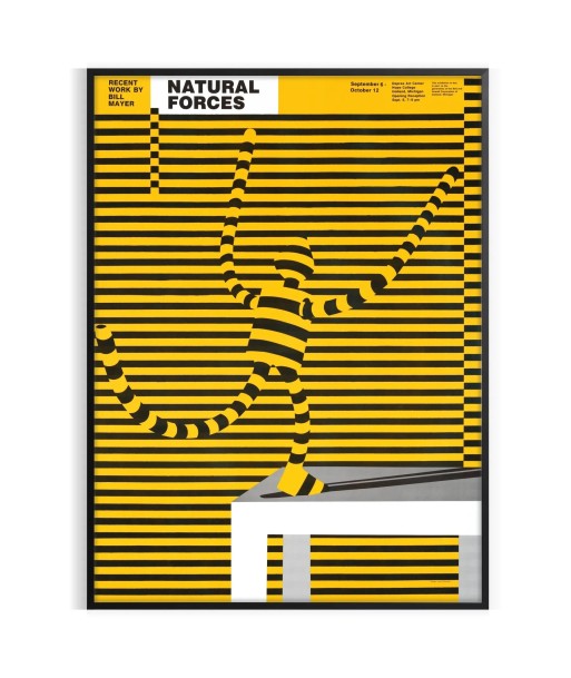 Affiche Graphiques Forces Naturelles votre