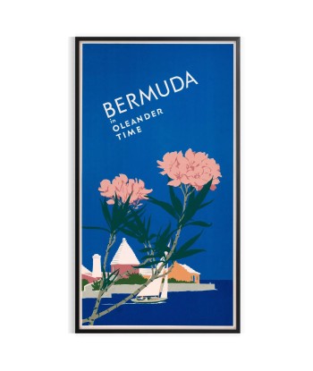 Affiche Voyage Bermudes de l' environnement