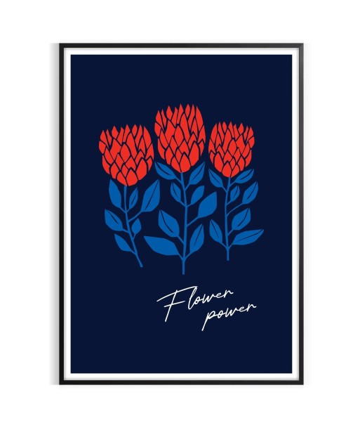 Affiche Fleurs 5 Pour