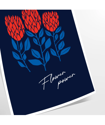 Affiche Fleurs 5 Pour