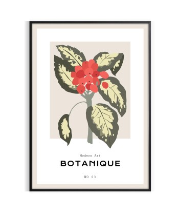 Affiche Botanique 19 Toutes les collections ici