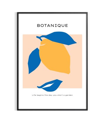 Affiche Botanique sélection de produits