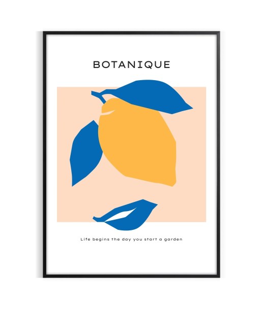 Affiche Botanique sélection de produits