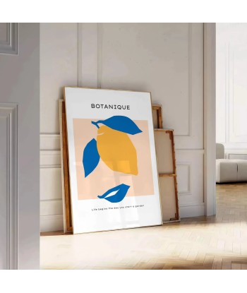 Affiche Botanique sélection de produits