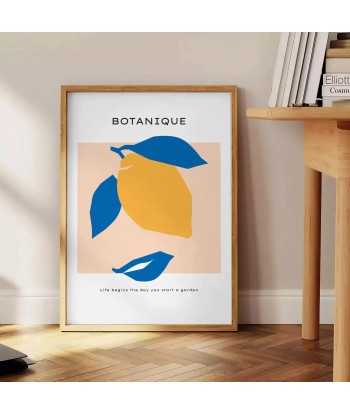 Affiche Botanique sélection de produits