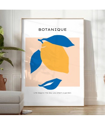 Affiche Botanique sélection de produits